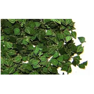 Plus Model feuilles de bouleau vertes pas cher