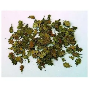 Plus Model Feuilles de chêne Feuilles pas cher