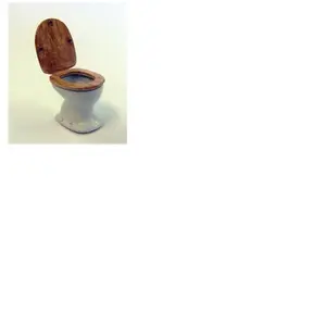 Plus Model Toilet bowl pas cher