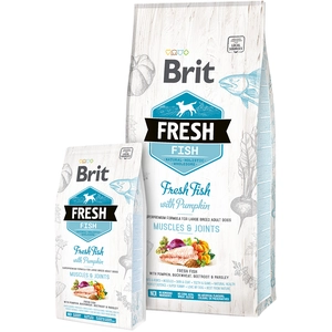 Brit Fresh Fish & Pumpkin Adult Large Breed 12 kg - Hond pas cher