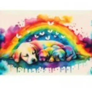 Yazz Chiots 3883 pas cher