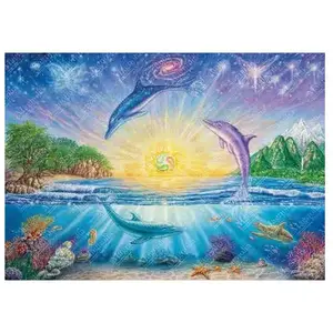 Magnolia Dolphins 4305 pas cher