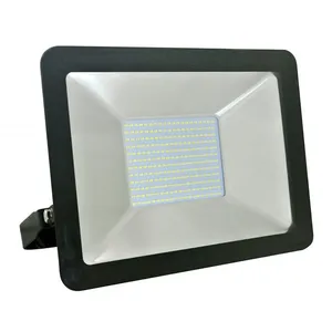 HOROZ ELECTRIC Projecteur Led Extra Plat 100w Ip65 6400k Puma-100 Dim. 308x395x70mmVendu parmanomano