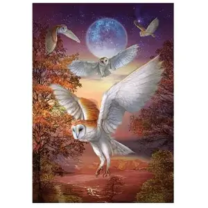 Art Puzzle Hiboux au Clair de Lune Puzzle-5273 pas cher