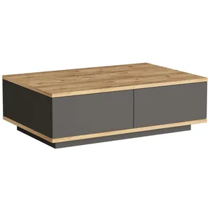VENTE-UNIQUE Table basse avec 2 portes - Naturel et Anthracite - LOTULA pas cher