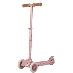 Little Dutch Step 3-wieler