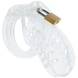 Hidden Desire Chastity Cock Cage Acrylic pas cher