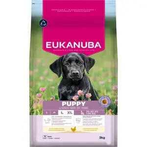 Eukanuba Puppy Large Breed Kip - Hondenbrokken - 3 kg pas cher