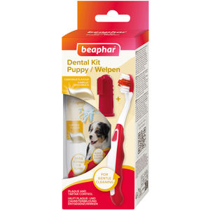 set : brosse à dents + brosse à doigts + dentifrice beaphar Kit de soins dentaires pour chiot pas cher