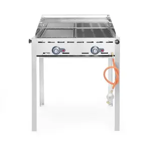 Hendi GreenFire Profiline Gasbarbecue - 2 branders pas cher