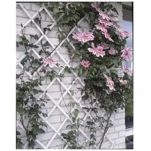 Comparateur de prix : Nature - Klimrek 200 x 100cm - Klim-En Geleide Artikel - Wit