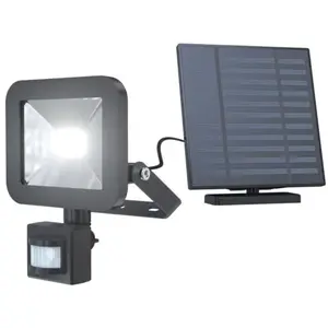 Projecteur solaire - CALEX - 800 lm - Sans fil - Extérieur - Avec pann...