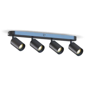 Calex Plafondlamp - 4-Lichts - Opbouwspot - Ovaal - Zwart - GoudVendu parbol
