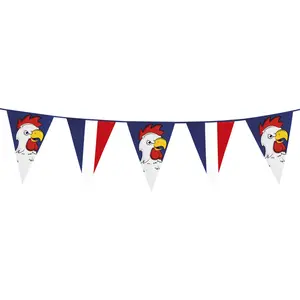 Boland Guirlande fanions supporter France 8 m - 232847 - Bleu blanc et... pas cher