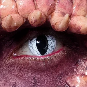 Boland - Weeklenzen Dragon - Volwassenen - Halloween en Horror, Fantas... pas cher