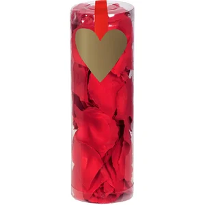 Boland 48020 - Cylindre avec Pétales de Rose, 288 pièces, Rouge pas cher