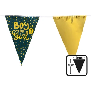 Boland - PE vlaggenlijn 'Boy or Girl' - Geen thema - Babyshower - Gender reveal pas cher