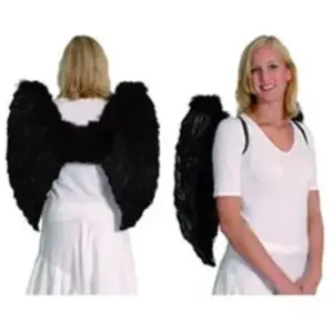 Boland Maxi ailes ange en plumes noires pas cher