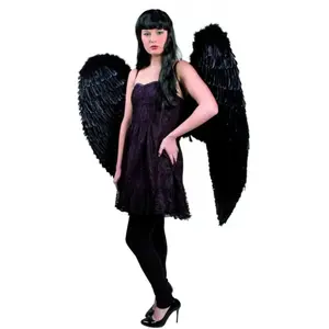 Boland Maxi ailes d'ange plumes noires - Adulte Femme - 120x120 cm - Intérieur - Plumes pas cher