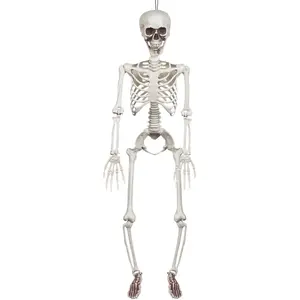 Boland - Decoratie Skelet (91 cm) - Horror;Piraten - Horror- Piraten pas cher