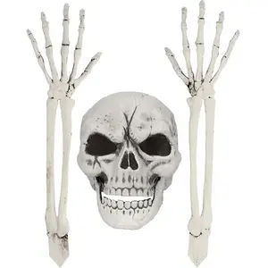 Boland - Set Begraven skelet - Horror - HorrorVendu parbol