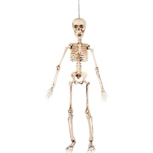 Comparateur de prix : Décoration articulée squelette 50 cm Halloween Taille Unique