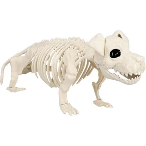 Boland - Decoratie Skelet hond - Horror - HorrorVendu parbol
