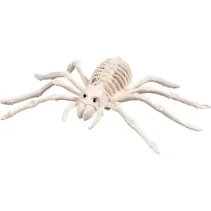 Boland - Spinnenskelet (23 x 16 x 6 cm) - Horror - Horror pas cher