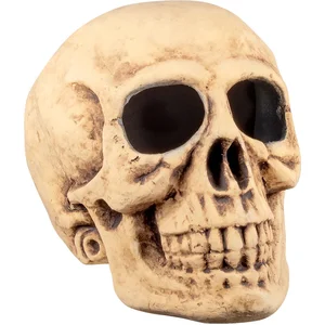Boland - Schedel Masterbrain - Piraten;Horror - Piraten- HorrorVendu parbol