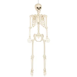 Boland - Decoratie Skelet skinny - Horror - Piraten - Spookhuis - Tric... pas cher