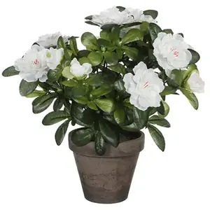 Azalea plante artificielle blanc en pot H27Vendu pargalaxus