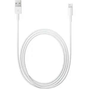Apple Lightning vers USB-A Câble 2 mètres MD819ZM/A pas cher