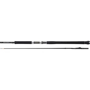 Shimano Beastmaster CX Innerguide MH - 100g - 2-Delig pas cher