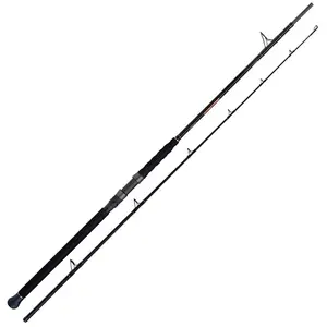 Shimano Fishing Canne à Pêche Pour Poisson-chat Beastmaster Ax MultiVendu parwaveinn