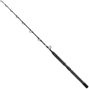 Shimano Fishing Canne Pêche De Fond Tyrnos B Stand Up Spiral