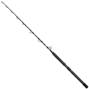 Shimano Fishing Canne Pêche De Fond Tyrnos B Stand Up Spiral