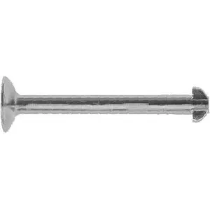 Veerborgpen remschoen 96161 ABS pas cher
