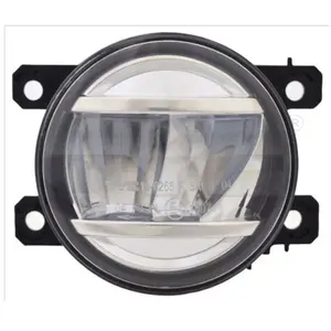 Mistlamp 196265009 TYC pas cher