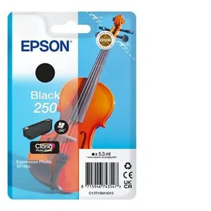 Epson Singlepack Black 250 ink