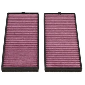 AMC Interieurfilter Xtra-clean HC8205X Kavo parts pas cher