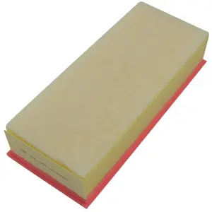 Luchtfilter TA1704 AMC Filter pas cher
