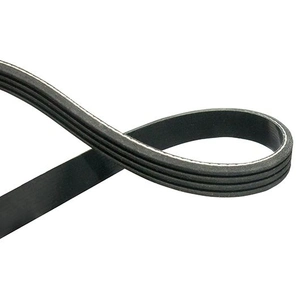 Multiriem DMV1543 Kavo parts pas cher