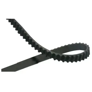 Distributieriem DTB8013 Kavo parts pas cher