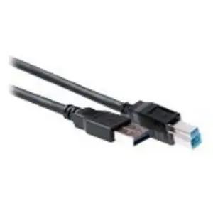 Intronics ACT câble USB - 50 cm pas cher