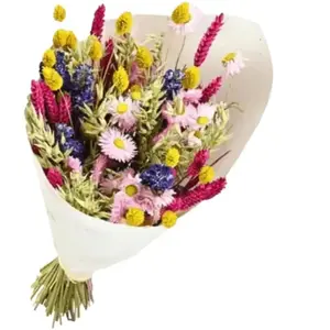 NATURALYS Bouquet de Fleurs séchées Dandy Mix couleurs 50 cm pas cher
