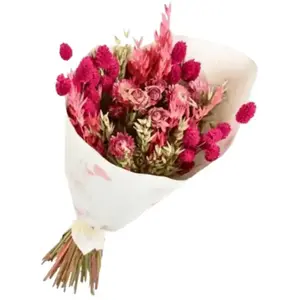 NATURALYS Bouquet de fleurs séchées trendy Pink 50 cm pas cher