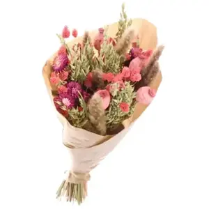 NATURALYS Bouquet de Fleurs séchées Prestige Pink 50 cm pas cher