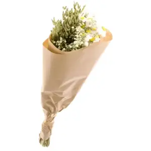 NATURALYS Bouquet Fleurs Séchées mix blanc déco 50 cm pas cher