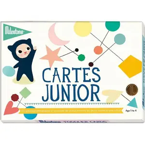 Milestone Cartes photos souvenirs Junior (30 cartes) pas cher