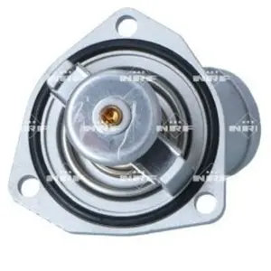 Thermostat nrf 725169 pas cher